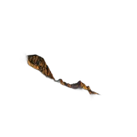 UUOnline: Photographing the Nighttime Landscape with Roman Kurywczak 1