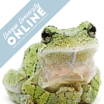 UUOnline: Curious Critters: Portraits to Picture Book with David FitzSimmons