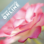 UUOnline: Macro - Little Worlds, Lots of Wonder with David FitzSimmons