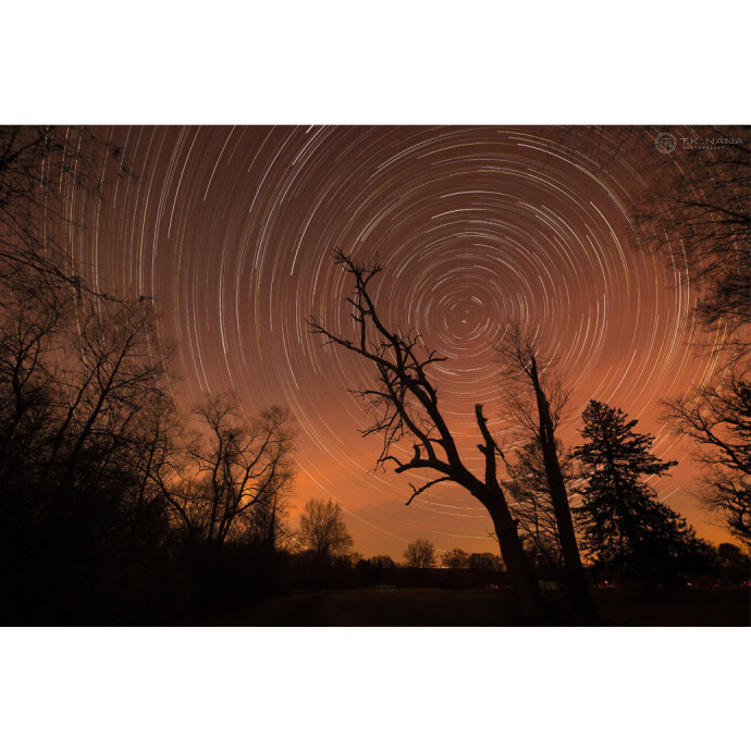 Strategies for Capturing Winning Images in Photography Contests