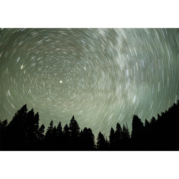 Beginner-Friendly Photography Contests and Preparation Tips
