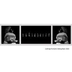 *FREE RSVP* Ron Tarver: SHINE Gallery Opening Reception (Philly) 1