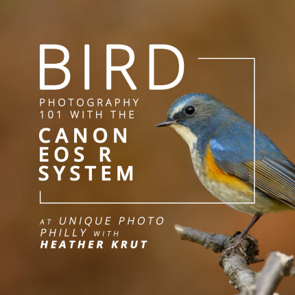 Canon Bird Photography Class
