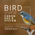 *FREE RSVP* Bird Photography 101 with the Canon EOS R System (Philly) 0