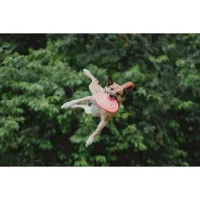 PCS: Photographing Disc Dogs with Bobby Stormer 2