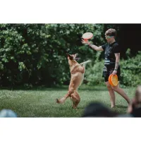 PCS: Photographing Disc Dogs with Bobby Stormer 3