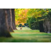 PCS: Backyard Wildlife Photography with Bobby Stormer 4