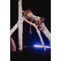 PCS: Barnyard Portraits Live Animal Shoot with Bobby Stormer 2
