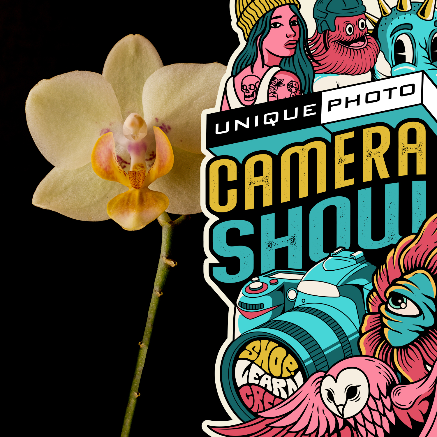 Contest Image Selection: Balancing Proven Hits and Fresh Work