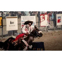 PCS: The Black West in Color with Ron Tarver 1