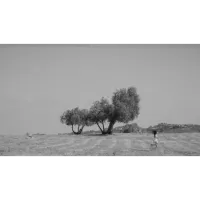 PCS: Creating Cinematic Shots at Home with Sophia Chew (SIGMA) 1
