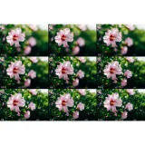 Lights, Camera, ALPHA: A Deep Dive into Camera Lenses (Sony) 3