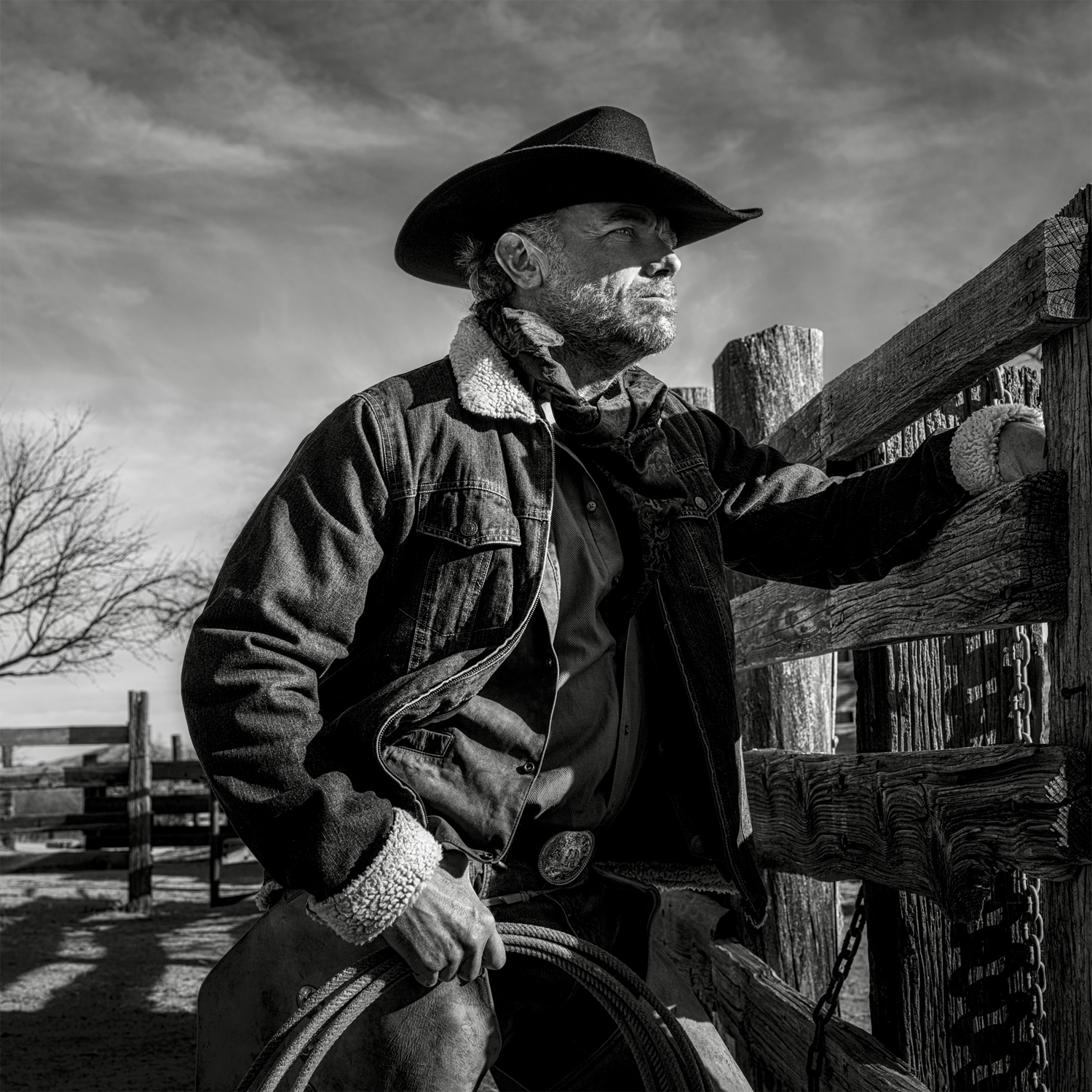 Portrait Camera FAQ: Brand, Sensor Size, AF, Color, and Resolution