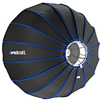 Westcott Switch Beauty Dish (24in, Silver Interior)