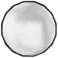 Westcott Beauty Dish Switch 36in by Manny Ortiz - White Interior 1