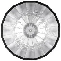 Westcott Beauty Dish Switch 36in by Manny Ortiz - Silver Interior 6