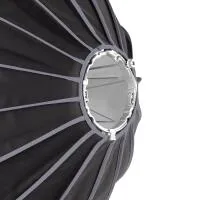 Westcott Beauty Dish Switch 36in by Manny Ortiz - Silver Interior 7