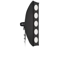 Westcott Pro Light Mods 1x4 5