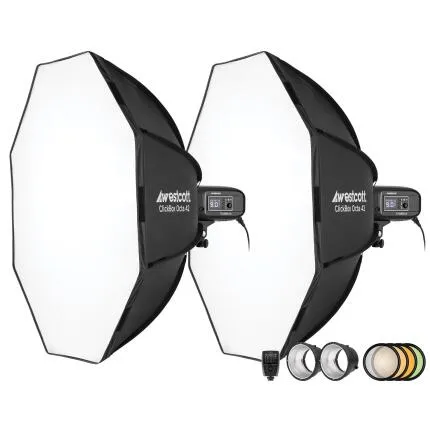 Westcott FJ400-SE 2-Light Studio Strobe Kit with FJ-X3 S Trigger for Sony Ca