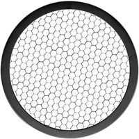 Westcott 30-Degree Grid for FJ400 f/5.5in Magnetic Reflector 1
