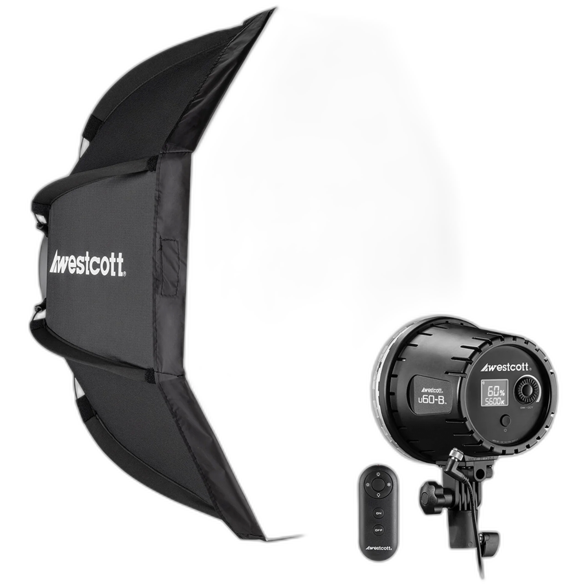 Best Budget Lighting Kits for Home Portraits