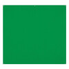Westcott X-Drop Pro Wrinkle-Resistant Backdrop - Chroma-Key Green Screen (8F