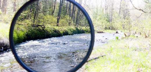 Neutral Density Filter Demo