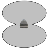 Bi-Directional Polar Pattern