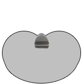 Cardioid Polar Pattern