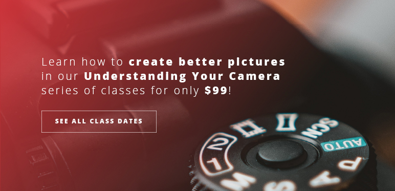 Understanding Your Camera